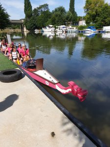 Pink Paddlerinnen im Drachenboot am Neckar